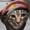 猫头鹰