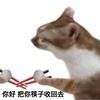 温南舟