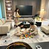 深圳全屋智能（辉景科技）