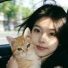 猫猫乐园🐈