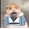 琉璃劳斯