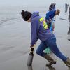 全球赶海实录