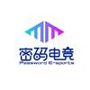 密码电竞(CBD店)专用号