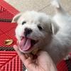 是大脸的言啊👧☜