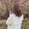 芝子花开