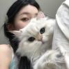铁锅顿佩奇(ˇ◕🐽◕ˇ)