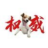 拆-小狗好看视频（迷你世界)
