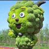 星光汽车电子维修
