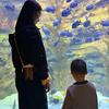 Y车宝妈搞钱记