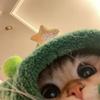 你的剧搭子十三