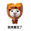 番薯王日记