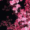 暖玉生烟