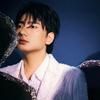 海来阿木live