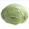 卷心菜菜（多肉版）