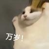 海绵不吸爱
