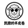 凯撒的羊皮卷
