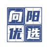 向阳优选