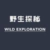 野生探秘