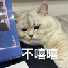 菠萝不喝美式