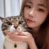 仙女的猫🐱