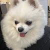 易迅益智玩具