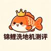 锦鲤洗地机甄选