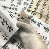 小郗～