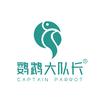 鹦鹉大队长