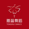 滕蕊舞蹈艺术中心