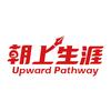 领识朝上生涯