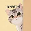 瓜皮是只猫🍉