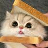一口咖喱饭