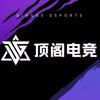 顶阁电竞（麦小美）