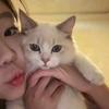 你泛红的脸颊