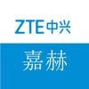 ZTE中兴嘉赫网络专卖店