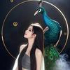 孔雀公主🦚