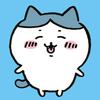 小猫日记