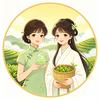 豫见毛尖