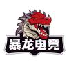 暴龙电竞