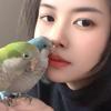饭柒柒