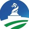 海棋官方号