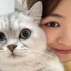 白犀牛