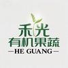 禾光有机果蔬(HEGUANG)