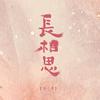 电视剧长相思