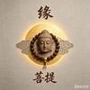 菩提渡尘6