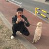 一本正经的大锤