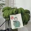 铭静琪锴