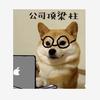 洋洋数码