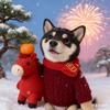 夏天回来了吗