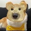 🍩徐新贺🍿️